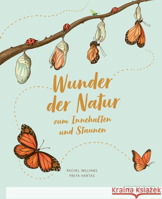 Wunder der Natur zum Innehalten und Staunen Williams, Rachel 9783791374475 Prestel - książka