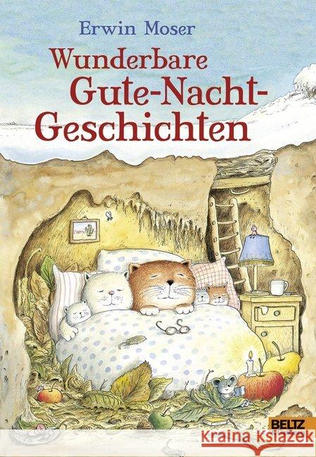 Wunderbare Gute-Nacht-Geschichten Moser, Erwin 9783407821683 Beltz - książka
