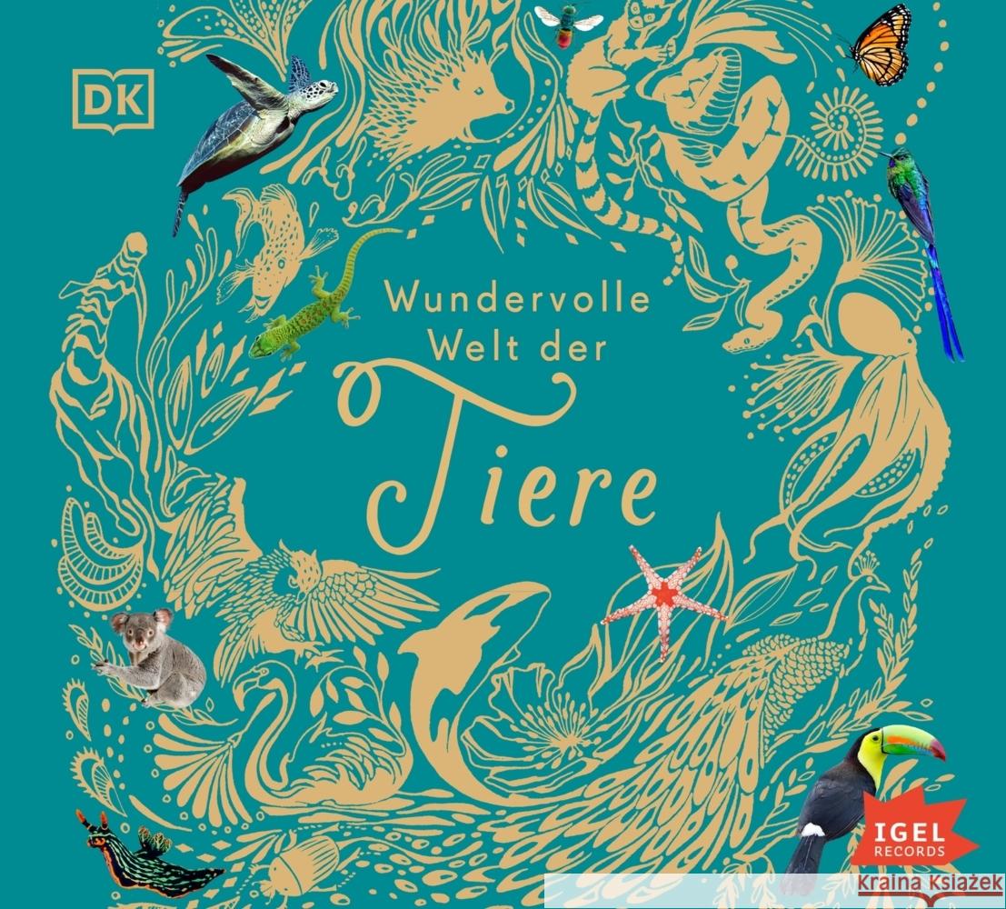 Wundervolle Welt der Tiere, 1 Audio-CD Hoare, Ben 9783985200153 Igel Records - książka