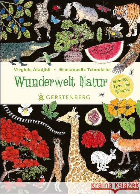 Wunderwelt Natur : Über 450 Tiere und Pflanzen Aladjidi, Virginie 9783836960281 Gerstenberg Verlag - książka