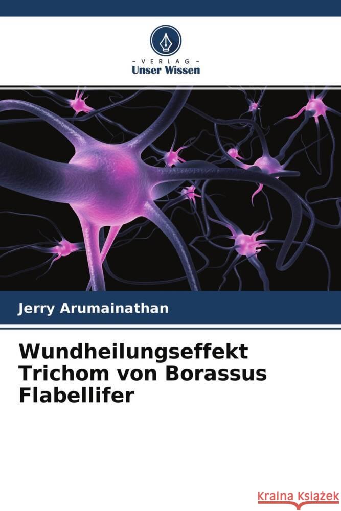 Wundheilungseffekt Trichom von Borassus Flabellifer Jerry Arumainathan Poongothai Annadurai 9786204713441 Verlag Unser Wissen - książka