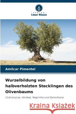 Wurzelbildung von halbverholzten Stecklingen des Olivenbaums Pimentel, Amílcar 9786209116919 Verlag Unser Wissen - książka