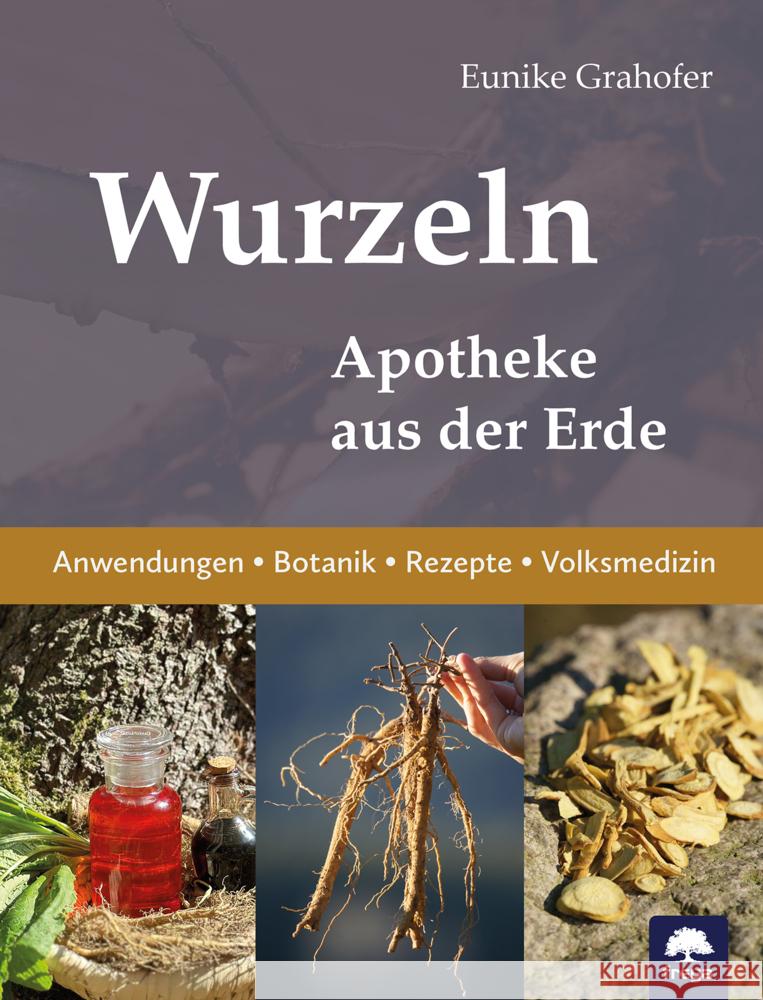 Wurzeln Grahofer, Eunike 9783990255308 Freya - książka
