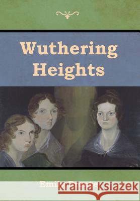 Wuthering Heights Emily Bronte 9781618956132 Bibliotech Press - książka