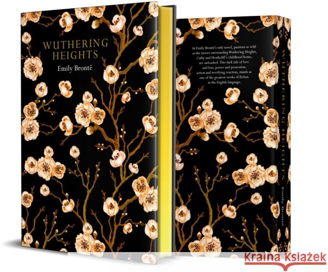 Wuthering Heights: Chiltern Edition Emily Bronte 9781912714070 Chiltern Publishing - książka