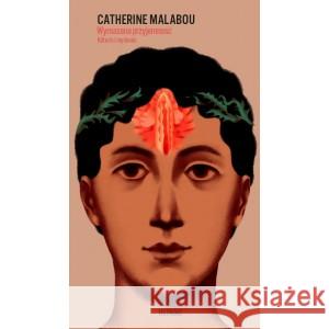 Wymazana przyjemność. Klitoris i myślenie MALABOU CATHERINE 9788366102279 EPERONS OSTROGI - książka