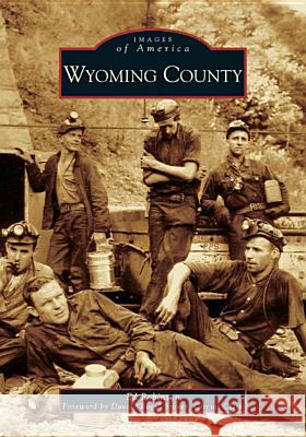 Wyoming County Ed Robinson David Bugs Stover 9780738541730 Arcadia Publishing (SC) - książka