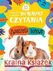 Wyrazy i zdania do nauki czytania Zwierzęta domowe Monika Basiejko 9788382134483 Aksjomat - książka