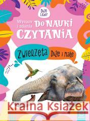 Wyrazy i zdania do nauki.. Zwierzęta duże i małe Monika Basiejko 9788382134872 Aksjomat - książka