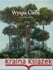 Wyspa cieni Davide Cali 9788395794049 Polarny Lis - książka