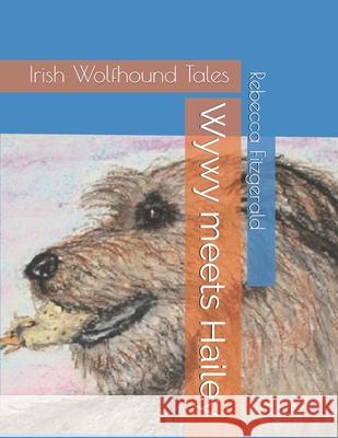 Wywy meets Hailey Rebecca Eileen Fitzgerald 9781973199427 Independently Published - książka