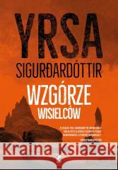 Wzgórze wisielców Sigurdardóttir Yrsa 9788382300598 Sonia Draga - książka