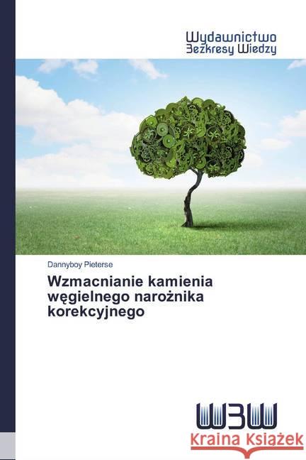 Wzmacnianie kamienia wegielnego naroznika korekcyjnego Pieterse, Dannyboy 9786202446570 Wydawnictwo Bezkresy Wiedzy - książka