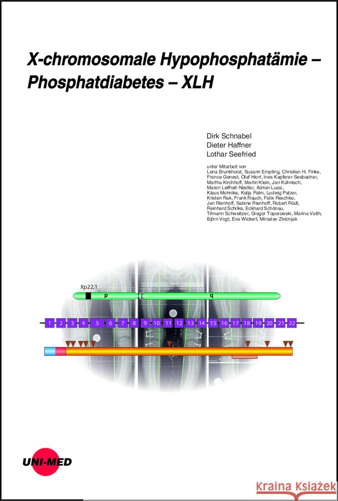 X-chromosomale Hypophosphatämie - Phosphatdiabetes - XLH Schnabel, Dirk, Haffner, Dieter, Seefried, Lothar 9783837424423 UNI-MED, Bremen - książka