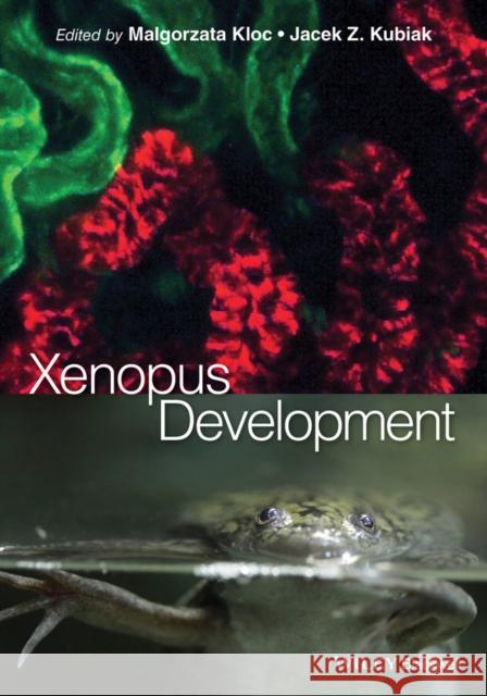 Xenopus Development Kloc, Malgorzata; Kubiak, Jacek Z. 9781118492819 John Wiley & Sons - książka