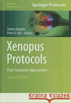 Xenopus Protocols: Post-Genomic Approaches Hoppler, Stefan 9781617799914 Humana Press - książka