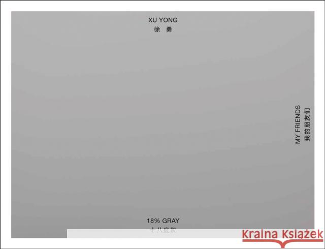 Xu Yong: 18% GRAY / MY FRIENDS  9783735610669 Kerber Verlag - książka