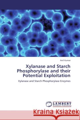 Xylanase and Starch Phosphorylase and their Potential Exploitation Kumar, Anil 9783844331516 LAP Lambert Academic Publishing - książka