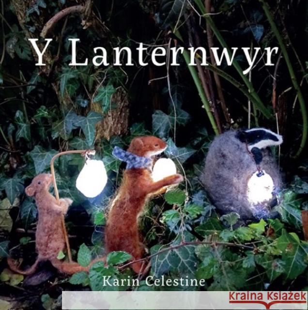 Y Lanternwyr Karin Celestine 9781914079368 Graffeg Limited - książka