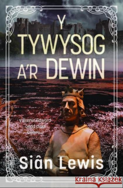 Y Tywysog a'r Dewin Sian Lewis 9781845278762 Gwasg Carreg Gwalch - książka