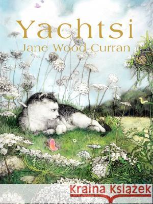 Yachtsi Jane Wood Curran 9780595467136 iUniverse - książka