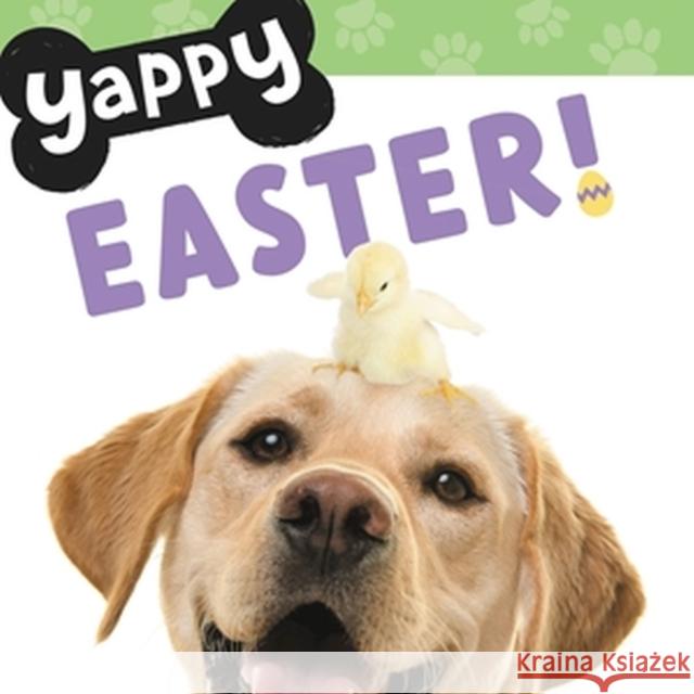 Yappy Easter! WorthyKids 9781546006466 Worthy Kids - książka