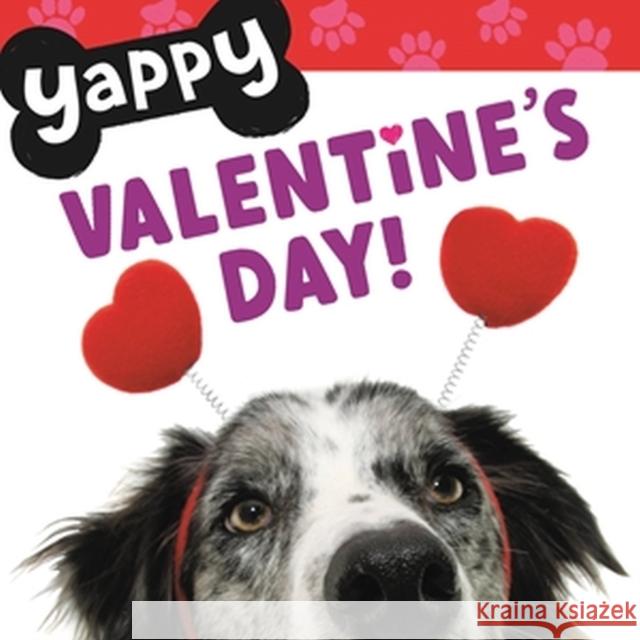 Yappy Valentine\'s Day! Worthykids 9781546005360 Worthy Kids - książka