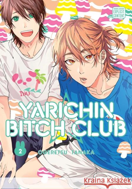 Yarichin Bitch Club, Vol. 2 Ogeretsu Tanaka 9781974709298 Viz Media, Subs. of Shogakukan Inc - książka