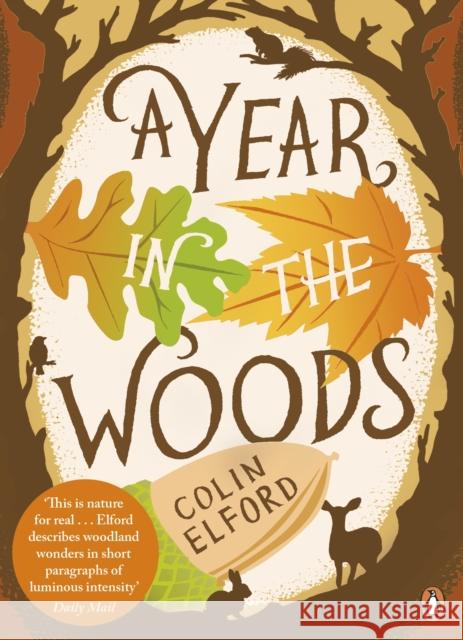 Year in the Woods Colin Elford 9780141043180  - książka