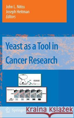 Yeast as a Tool in Cancer Research John L. Nitiss Joseph Heitman 9781402059629 Springer - książka