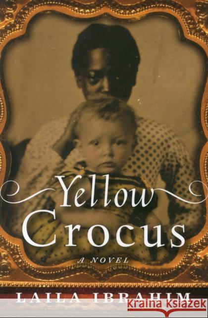 Yellow Crocus Laila Ibrahim 9781477824757 Amazon Publishing - książka