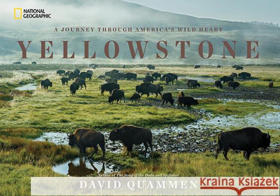Yellowstone: A Journey Through America's Wild Heart David Quammen 9781426217548 National Geographic Society - książka