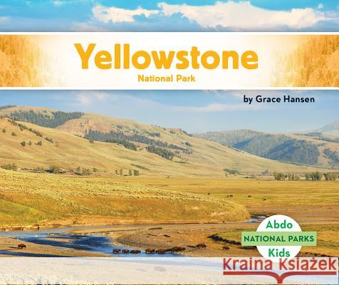 Yellowstone National Park Grace Hansen 9781532104367 Abdo Kids Jumbo - książka