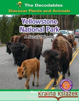 Yellowstone National Park: A Natural Wonder Marla Tomlinson 9781684506835 Norwood House Press - książka