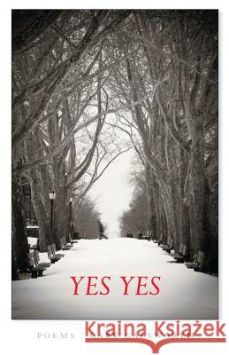 Yes Yes: poems Galsworth, Gary L. 9781453723425 Createspace - książka