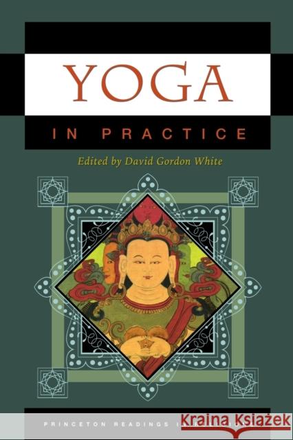 Yoga in Practice David White 9780691140865 PRINCETON UNIVERSITY PRESS - książka