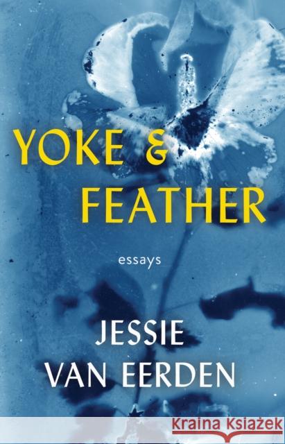 Yoke and Feather  9780984213368 Dzanc Books - książka