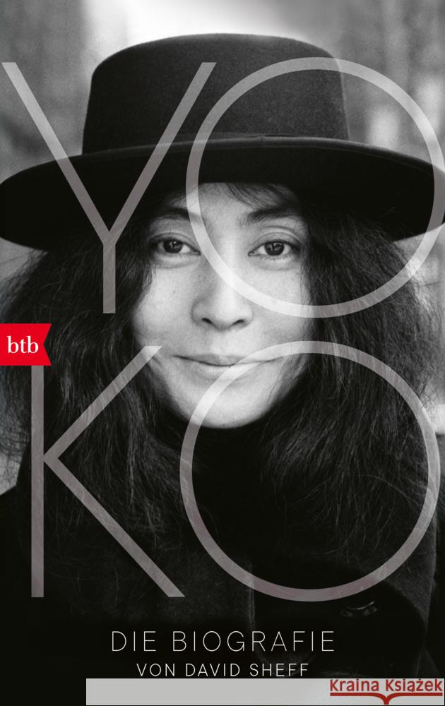 Yoko Sheff, David 9783442759729 btb - książka