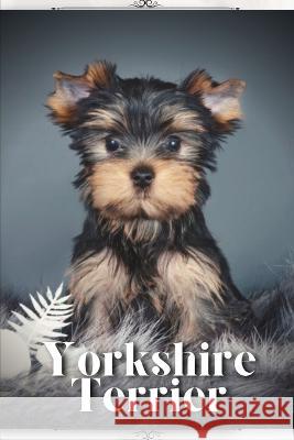 Yorkshire Terrier: Dog breed overview and guide Nina Pustova   9798396318564 Independently Published - książka