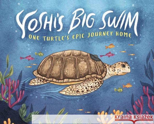 Yoshi's Big Swim: One Turtle's Epic Journey Home Mary Wagley Copp 9781398250390 Capstone Global Library Ltd - książka