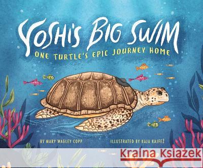 Yoshi\'s Big Swim: One Turtle\'s Epic Journey Home Mary Wagley Copp Kaja Kajfez 9781684465354 Capstone Editions - książka