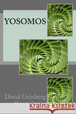 Yosomos David Grinberg Preciado 9781499717327 Createspace - książka