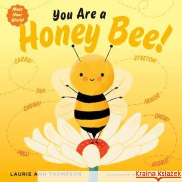 You Are a Honey Bee! Laurie Ann Thompson Jay Fleck 9780593529690 Penguin Putnam Inc - książka