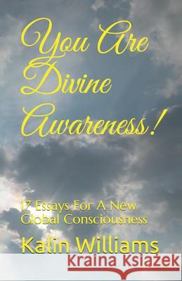 You Are Divine Awareness!: 17 Essays for a New Global Consciousness Kalin Williams 9781973480303 Independently Published - książka