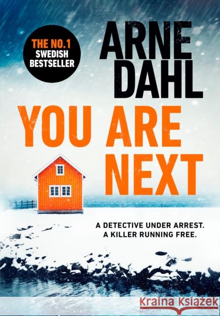 You Are Next Arne Dahl 9781787301603 Vintage Publishing - książka