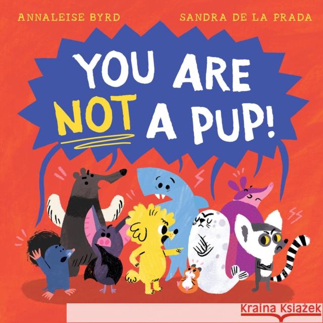 You Are Not a Pup! Annaleise Byrd 9781761214004 Hardie Grant Children's Publishing - książka