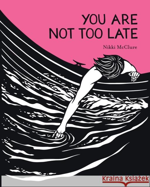 You Are Not Too Late Nikki McClure 9781419758386 Abrams - książka