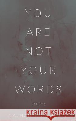 You Are Not Your Words Nathan J. Gregory 9781795679848 Independently Published - książka