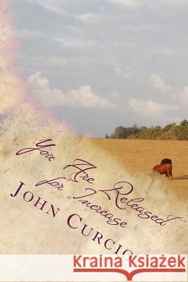 You Are Released for Increase Rev John M. Curcio 9781494247430 Createspace - książka