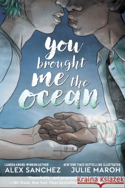 You Brought Me The Ocean: An Aqualad Graphic Novel Julie Maroh 9781401290818 DC Comics - książka